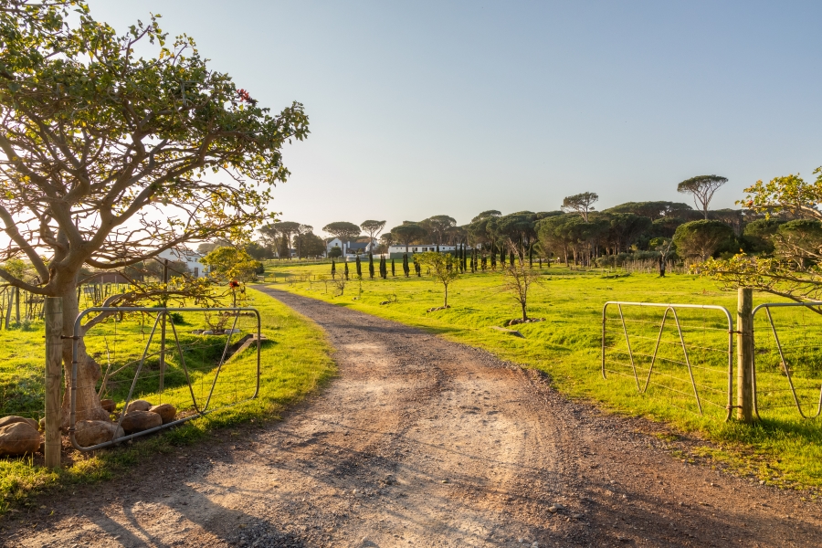 0 Bedroom Property for Sale in Somerset West Rural Western Cape
